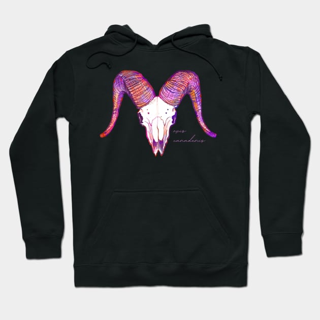 Bighorn Sheep Ram Skull Hoodie by Nat Rodgers 